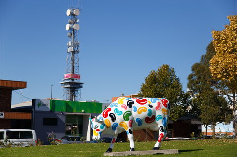 Shepparton Tower - C Tourism 1