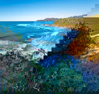 Shellgrit Beach Red Head - C Tourism