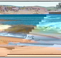 Starfish Hill Windfarm - C Tourism