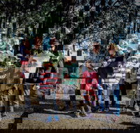 State Forests of the Watagan Mountains - C Tourism