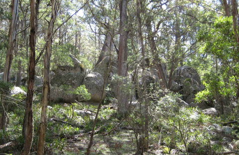 Tallaganda National Park - C Tourism 0