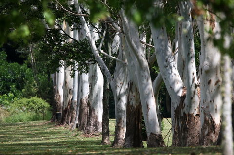 Teven Valley Golf Course - C Tourism 1
