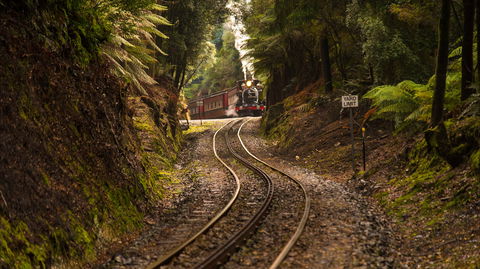 The West Coast Wilderness Way - C Tourism 0