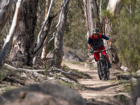 Thredbo Valley Track - C Tourism 2