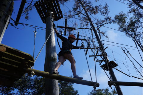 Trees Adventure Nowra Park - C Tourism 0