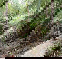 Upper Yarra Reservoir Park - C Tourism