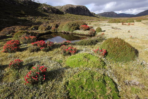 Walls Of Jerusalem National Park - C Tourism 1
