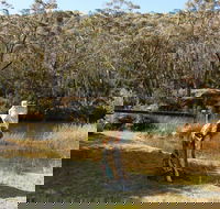 Wild Valley Art Park - C Tourism