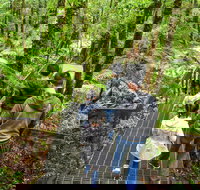 Yarra Ranges National Park - C Tourism