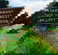Yarraman - C Tourism
