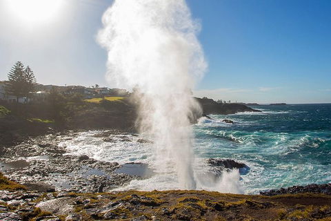 Private Tour: Sydney South Coast & Highlands - C Tourism 4