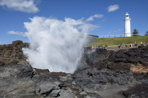 Private Tour: Sydney South Coast & Highlands - C Tourism 2