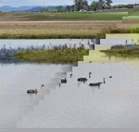 Beardy Waters Dam and Woodlands - C Tourism