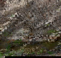 Brisbane Ranges National Park - C Tourism