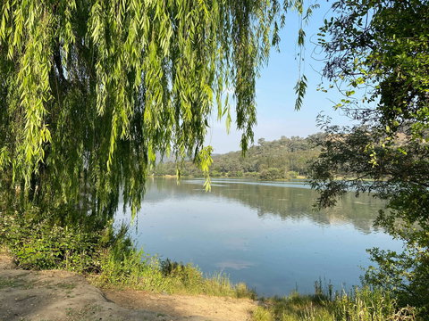 Eildon Pondage Walk - C Tourism 1