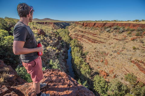 Gorge Rim Walk, Dales Gorge - C Tourism 0