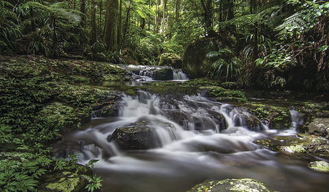 Protesters Falls Walking Track - C Tourism 0