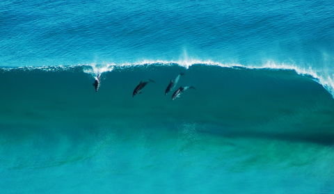 Sand Patch - C Tourism 1