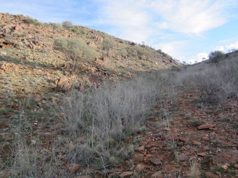 Sundown Nature Trail - C Tourism 2