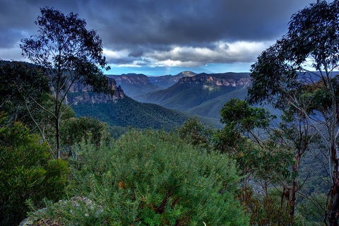 Ultimate Blue Mountains And Wildlife Tour - C Tourism 6