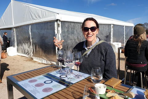 Motorcycle & Sidecar Wine Tasting Tour - C Tourism 6