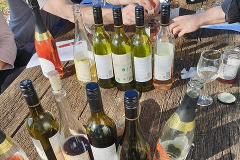 Motorcycle & Sidecar Wine Tasting Tour - C Tourism 1