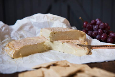 Artisan Cheese Tastings And Sales - C Tourism 8