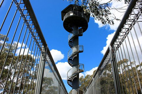 Illawarra Fly Treetop Adventures Admission Including Zipline Tour - C Tourism 3