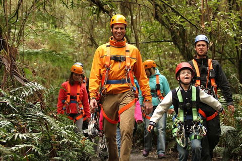 Illawarra Fly Treetop Adventures Admission Including Zipline Tour - C Tourism 1