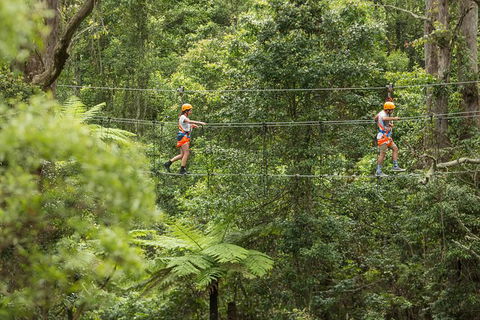 Illawarra Fly Treetop Adventures Admission Including Zipline Tour - C Tourism 0