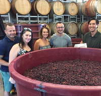 Hunter Valley Small Group Wine Gin Cheese  Chocolate Tour - C Tourism