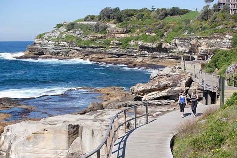 Kickstart Sydney Half-Day Tour - C Tourism 5