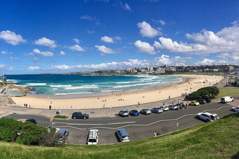 Kickstart Sydney Half-Day Tour - C Tourism 8