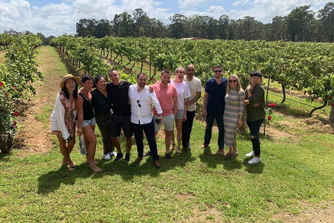 Hunter Valley Exclusive Kangaroo And Wine Tasting Experience - C Tourism 6