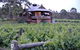 Six Hour - Plan Your Own Wine And Cheese Tour Hunter Valley - thumb 11