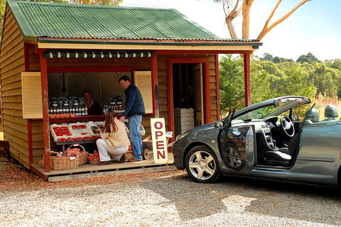 Private Luxury Southern Highlands Full Day Trip - C Tourism 4