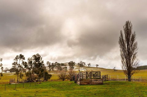 Paddock To Plate Farm Tour And Tasting - C Tourism 0