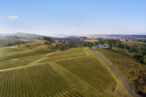 Audrey Wilkinson Vineyard: Fromage And Fortified Wine Experience - C Tourism 1