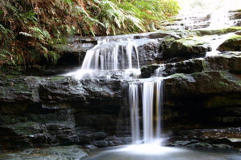 Private 10-hour Tour To Blue Mountains From Sydney - Hotel Pick Up & Drop Off - C Tourism 6