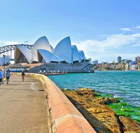 Sydney with Bondi and Beaches Essentials Private Day Tour - C Tourism