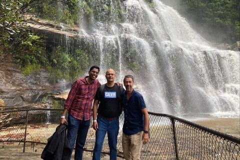 Blue Mountains Highlights & Wildlife Park - C Tourism 4