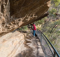 Blue Mountains Highlights  Wildlife Park - C Tourism