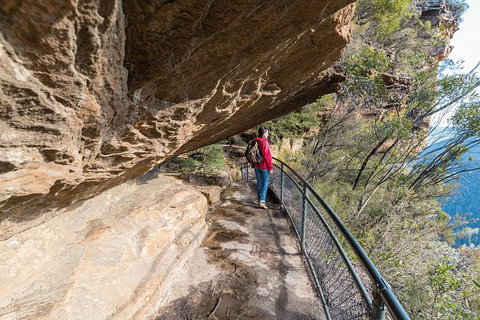 Blue Mountains Highlights & Wildlife Park - C Tourism 0
