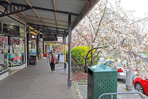 Blue Mountains Highlights & Wildlife Park - C Tourism 2