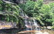 Blue Mountains Highlights & Wildlife Park - thumb 8
