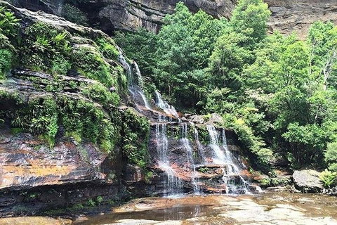 Blue Mountains Highlights & Wildlife Park - C Tourism 8