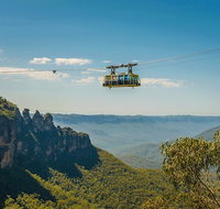 Blue Mountains Highlights Wildlife Park and Scenic World Full Day Private Tour - C Tourism