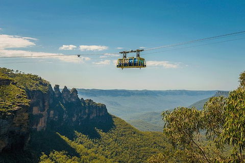 Blue Mountains Highlights, Wildlife Park And Scenic World Full Day Private Tour - C Tourism 0