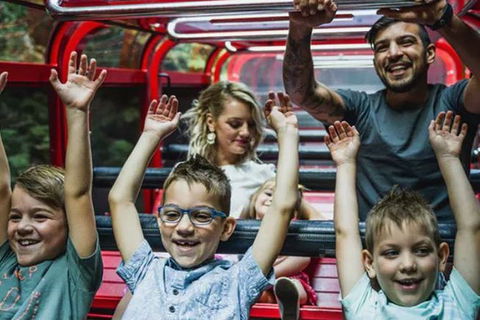 Blue Mountains Highlights, Wildlife Park And Scenic World Full Day Private Tour - C Tourism 5