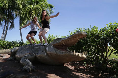 Jumping Crocs & Nature Adventure Cruise From Darwin - C Tourism 5